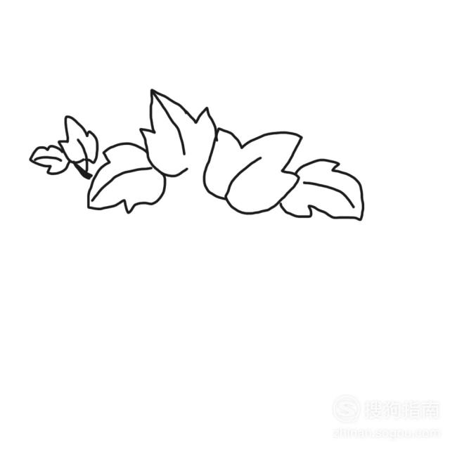 藤04如图,继续往下画,将第一个红薯画出来05画出红薯上的根须和纹路06