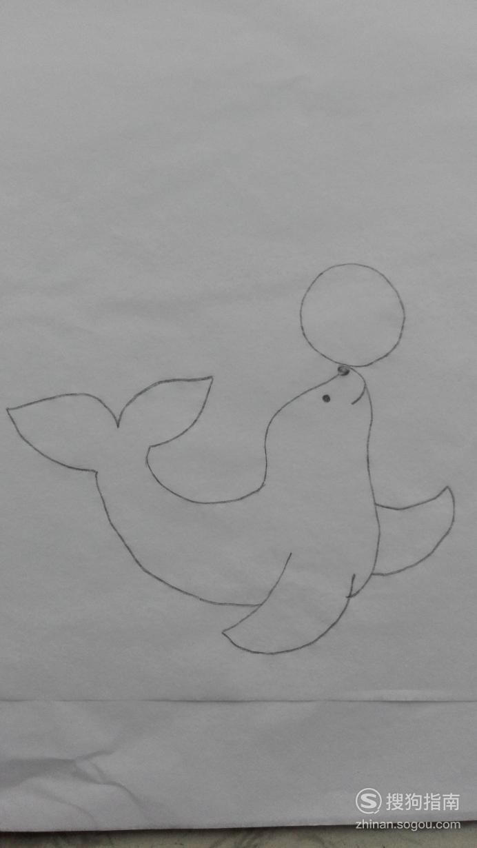 如何画小海狮顶球的简笔画原来是这样的