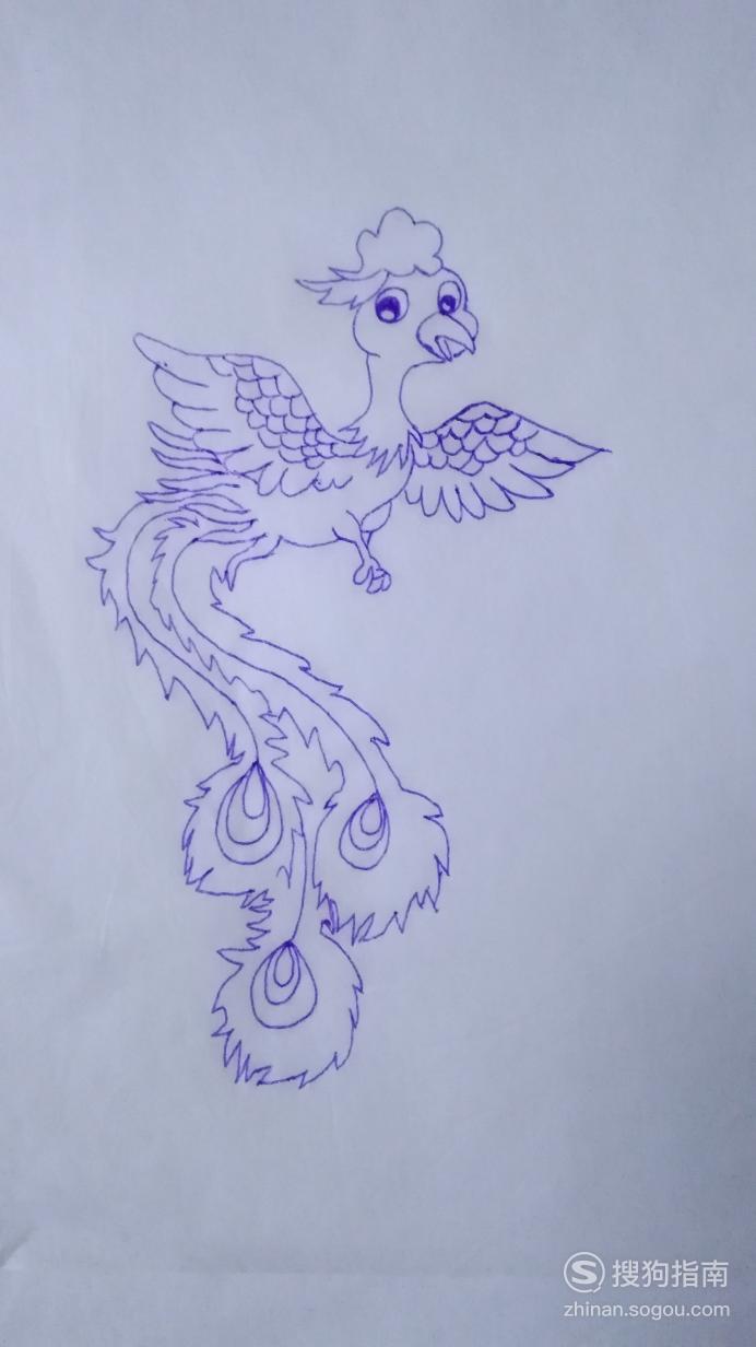 简笔画凤凰的画法 又快又好 - 天晴经验网