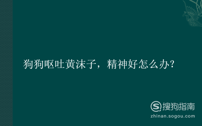 狗狗呕吐黄沫子,精神好怎么办?