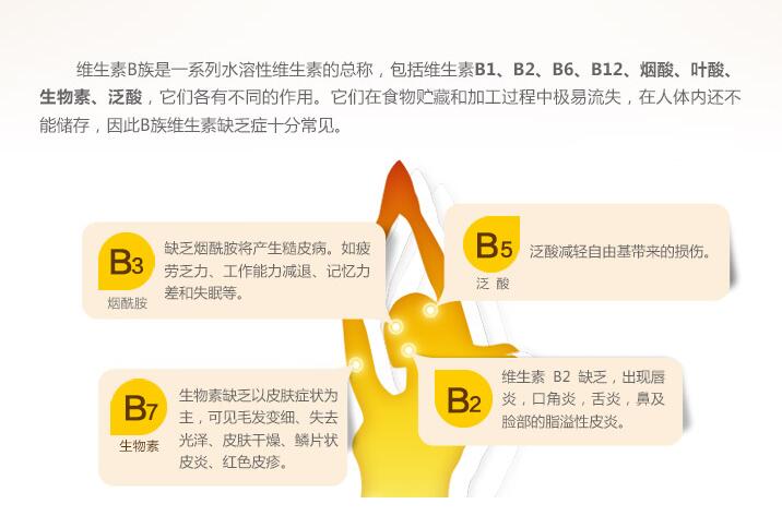 维生素B族的作用