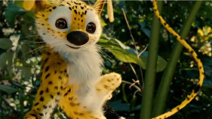 追踪长尾豹马修