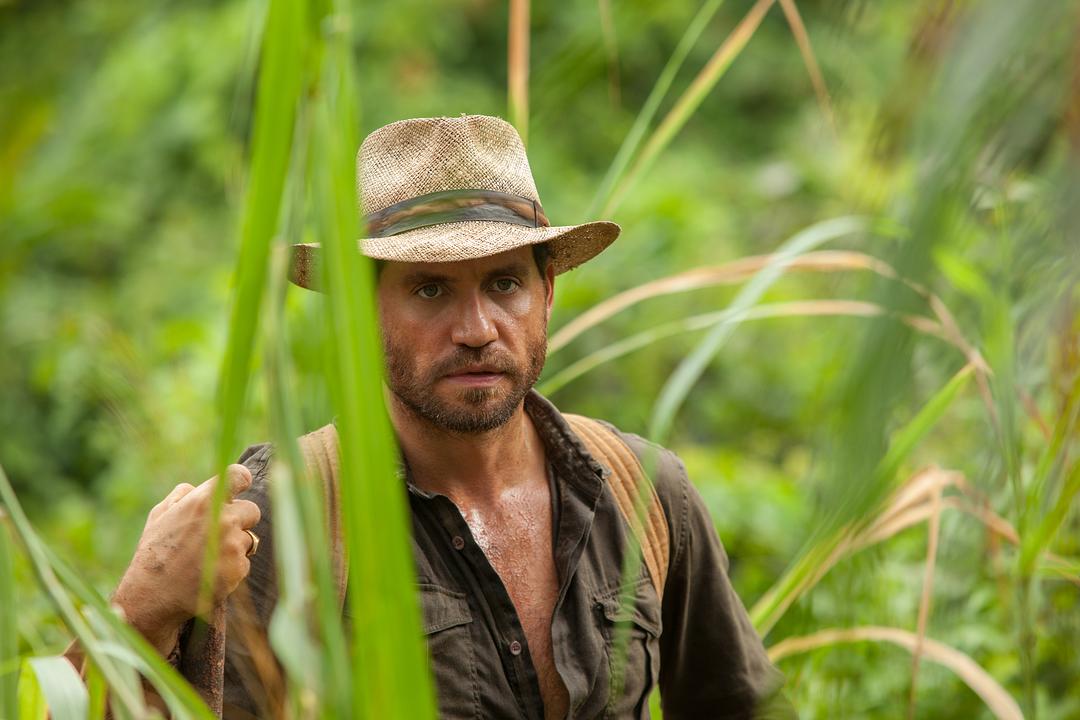 《金矿》-高清电影-完整版在线观看