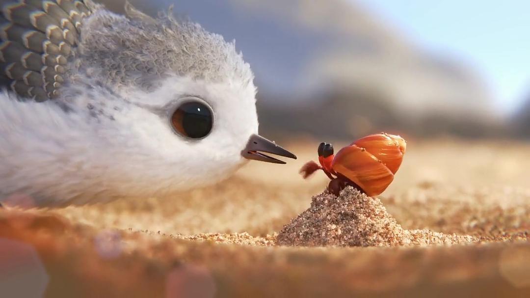 《鹬》全集-高清电影完整版-在线观看