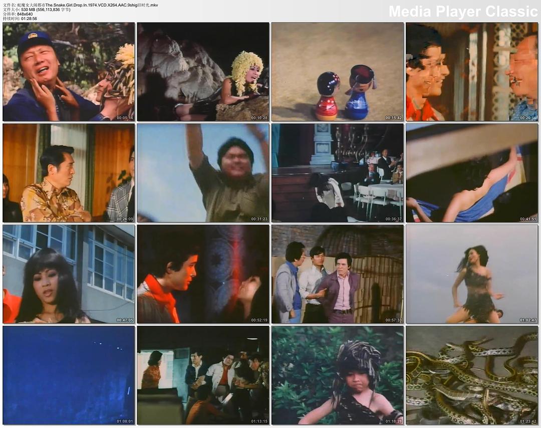 蛇魔女大闹都市