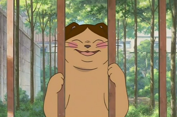 猫的报恩