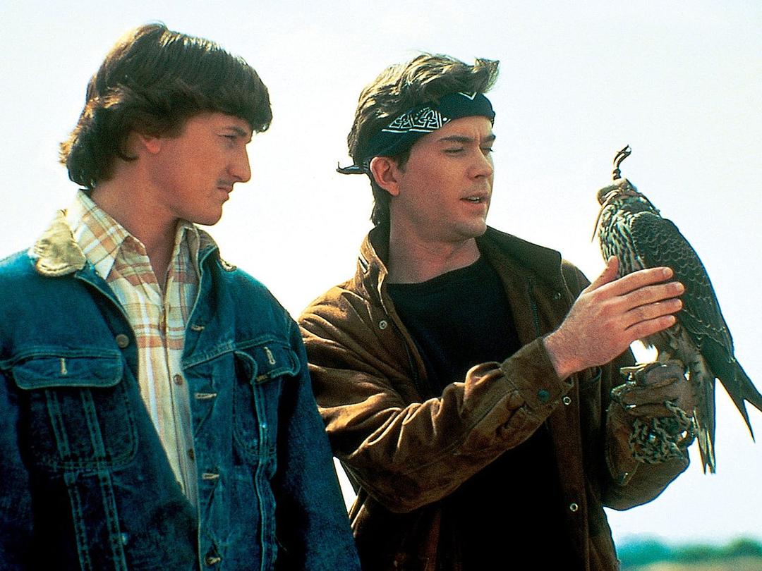 the falcon and the snowman