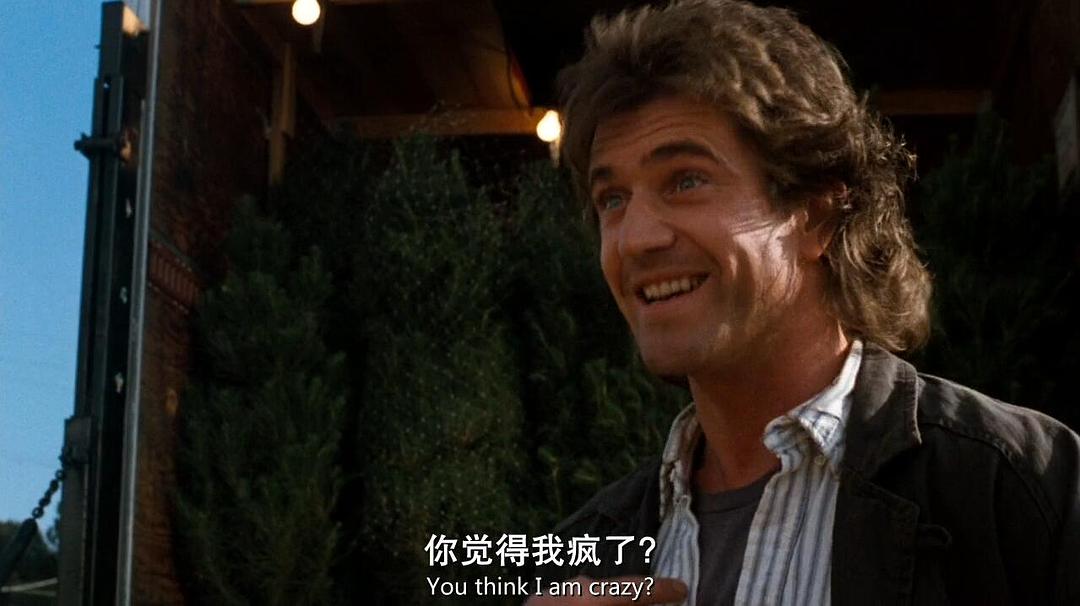 《致命武器》全集-高清电影完整版