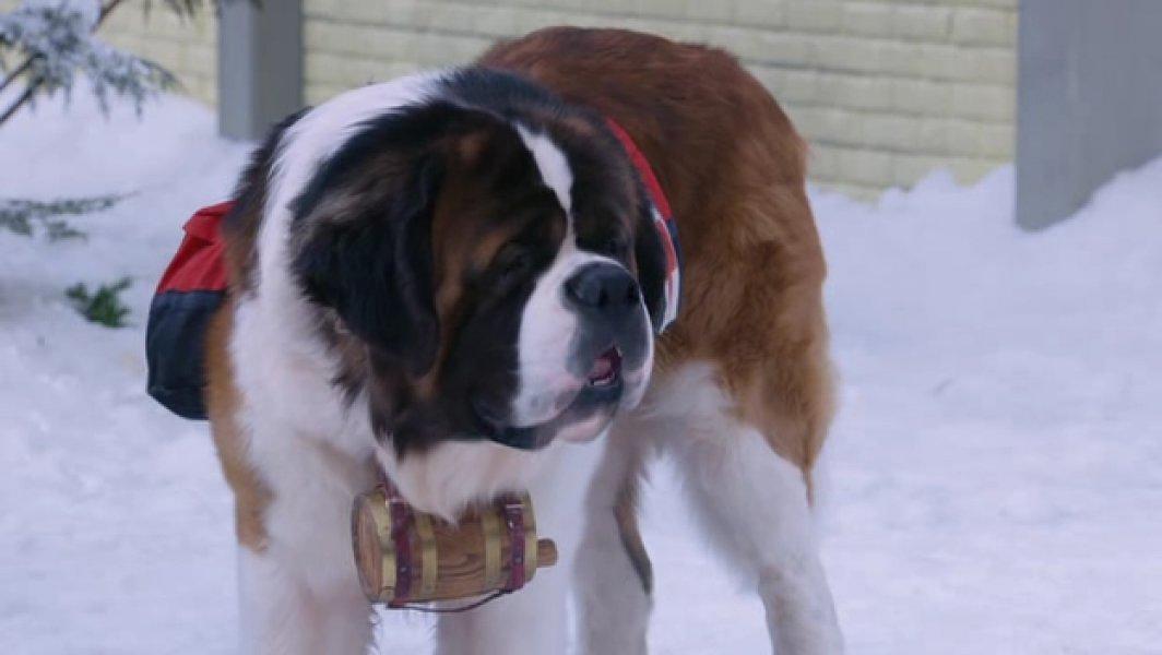 《雪地巴迪》-高清电影-在线观看