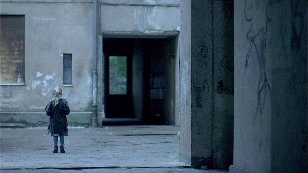 《招蜂引蝶》-高清电影-在线观看