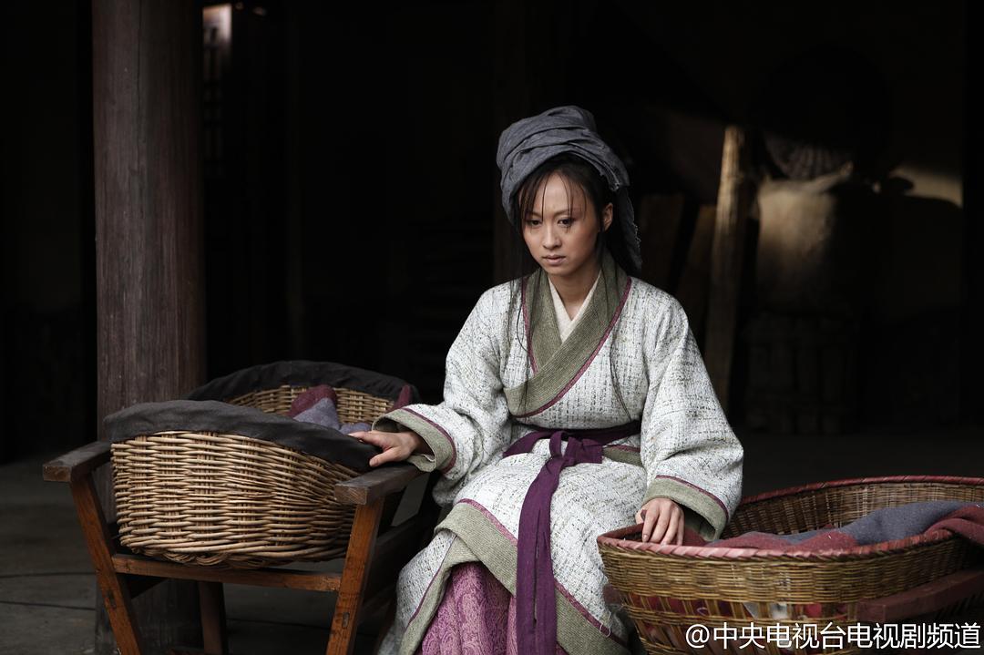 《赵氏孤儿案》全集-电视剧-在线观看