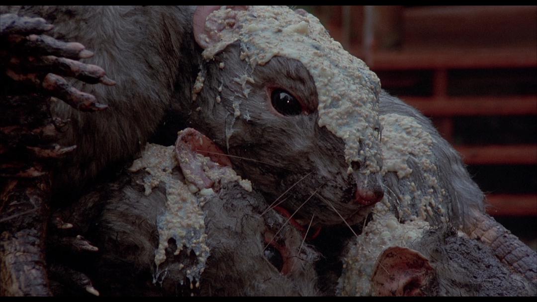 《猛鼠食人城(1976)》-高清电影-在线观看