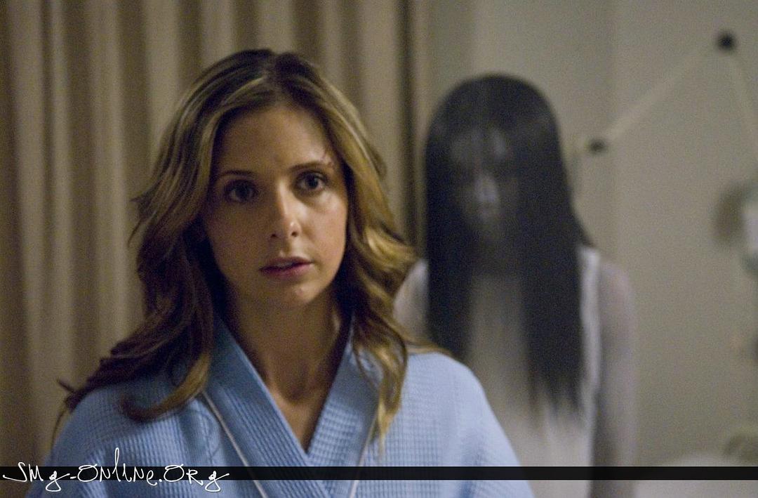 《咒怨2(美版)》全集-高清电影完整版-在线观看