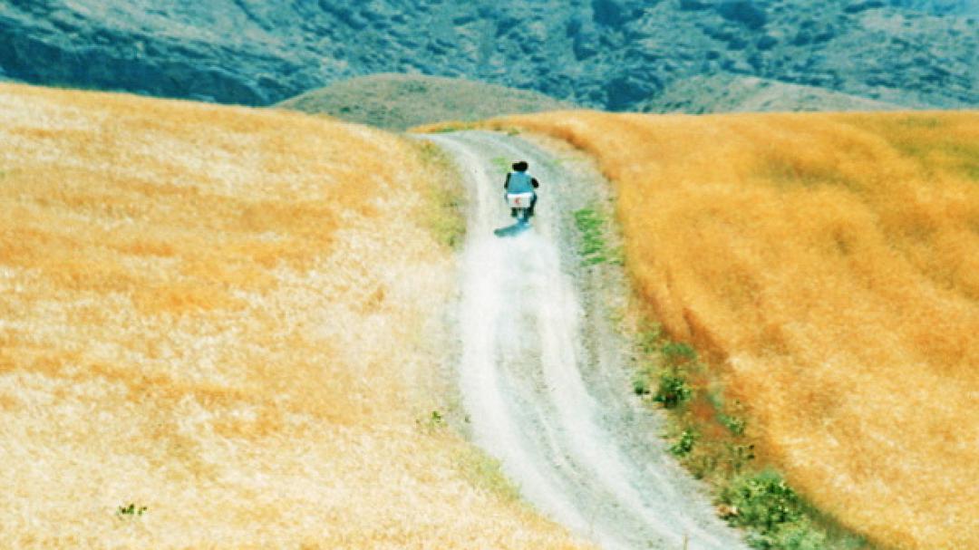 随风而逝 法国版