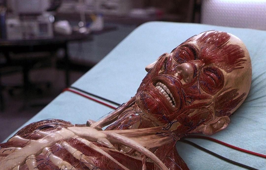 电影《透明人1》BD高清版片源,可在线播放《