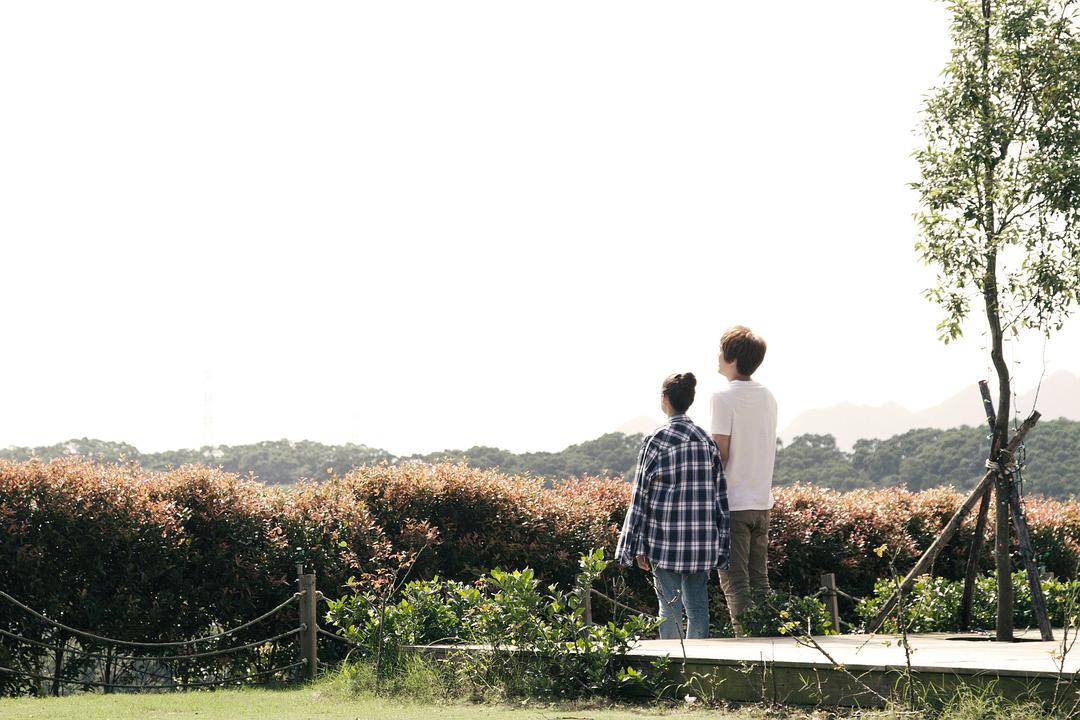 《翻糖花园》全集-电视剧-在线观看-搜狗影视