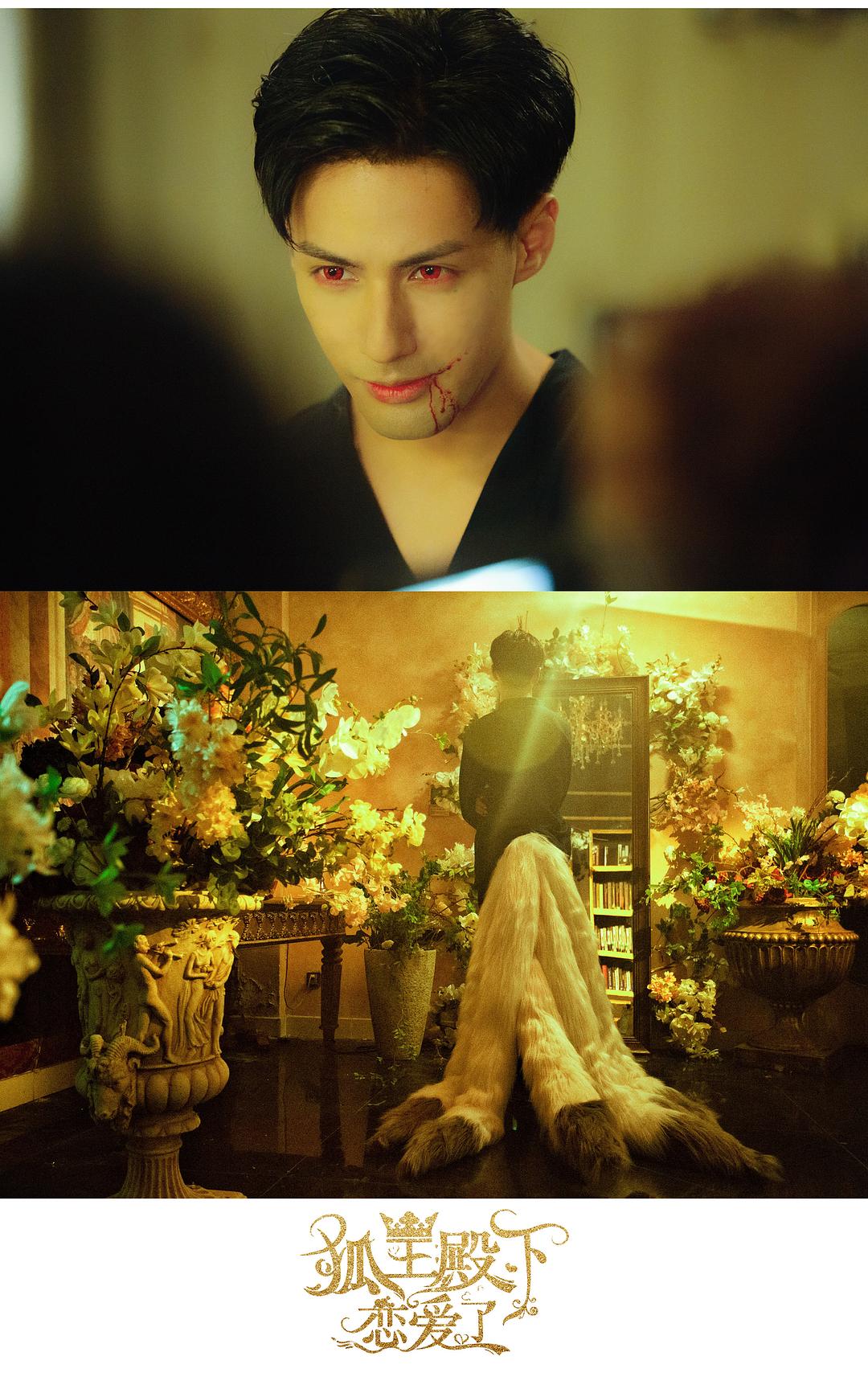 狐王殿下恋爱了