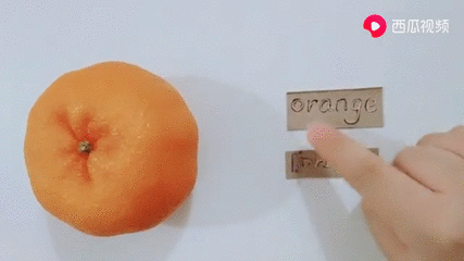 橘子英语怎么读 搜狗搜索