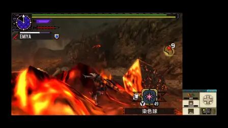 怪物猎人xx铠甲鱼 搜狗搜索