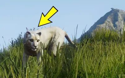 Gta5线上有动物演示嘛 搜狗搜索