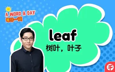 Leaf的英文怎么读 搜狗搜索