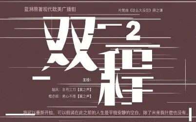双程2 国语中字（2016）海报