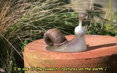 Snail怎么读音英语 搜狗搜索