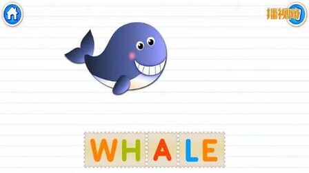 有关鱼的英文名 搜狗搜索