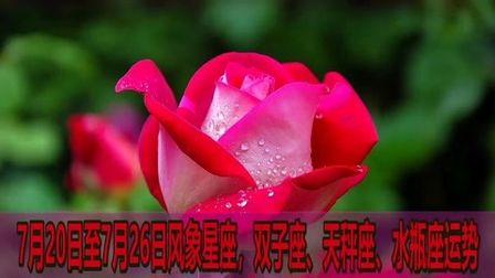 阴历7月26日是什么星座 搜狗搜索