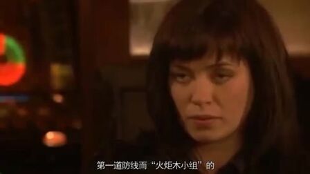 《火炬木小组第一季》全集-电视剧-免费在线观看