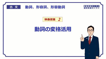 动词后可接形容词吗 搜狗搜索