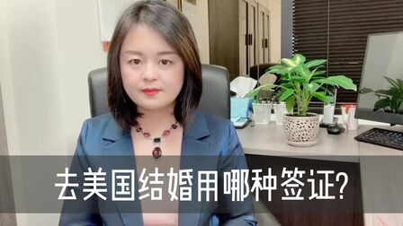 到美国结婚去第三季 综艺 免费在线观看