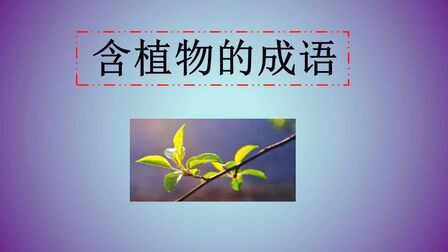 关于植物的成语个 搜狗搜索