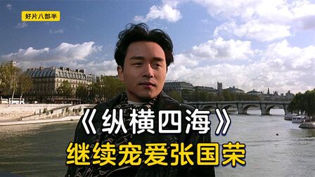 纵横四海 高清电影 完整版在线观看