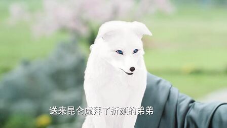 狐帝白止 搜狗搜索