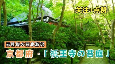 奇跡の庭京都?苔寺》全集-电视剧-免费在线观看