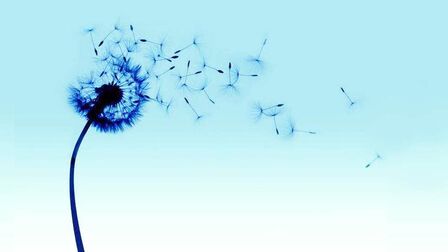 Haiku英文诗超简单的 搜狗搜索