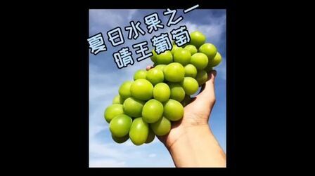 葡萄的日语怎么说 搜狗搜索