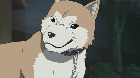 魔犬追凶 高清电影 完整版在线观看