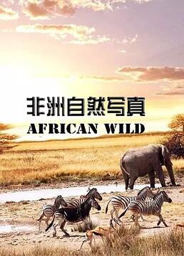 非洲自然写真