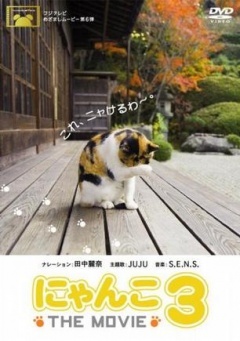 猫咪物语3剧照