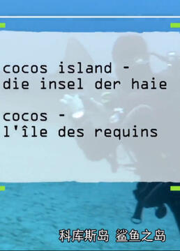 科库斯岛鲨鱼岛