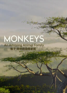 猴子奇妙的动物家族剧照