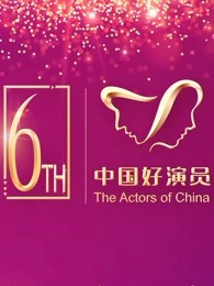 第六届中国电视好演员年度盛典剧照