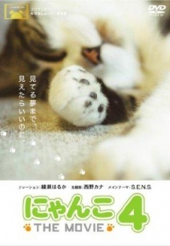 猫咪物语4剧照