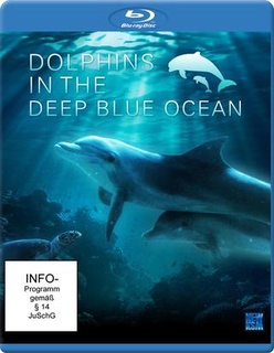 深蓝色海洋里的海豚剧照