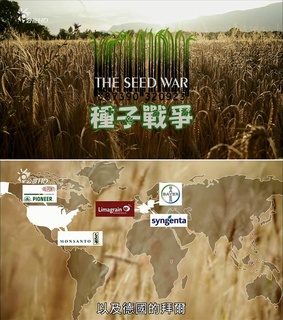 种子战争