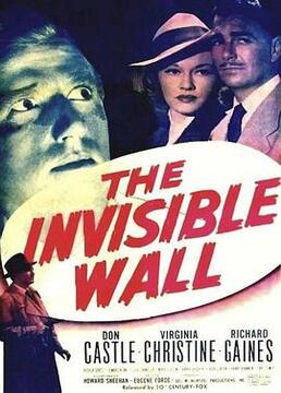 theinvisiblewall