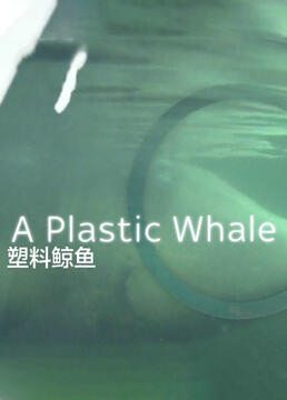 塑料鲸鱼剧照