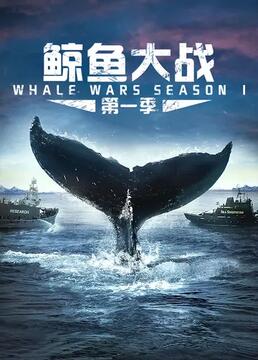鲸鱼大战第一季剧照